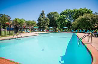 Pool with trees and teal chairs in the background